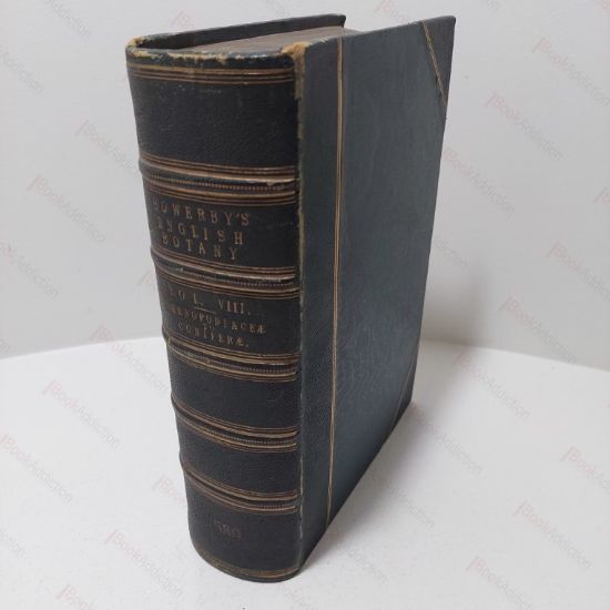 Picture of English Botany, Or Coloured Figures of British Plants [Sowerby's English Botany, Volume VIII, Chenopodiaceae to Coniferae]