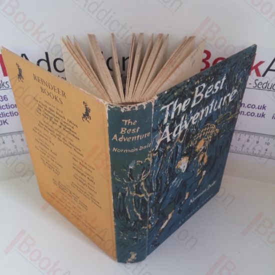 Picture of The Best Adventure (Reindeer Books)