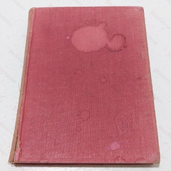 Picture of Shag : The Story of a Dog (The King's Treasures of Literature)