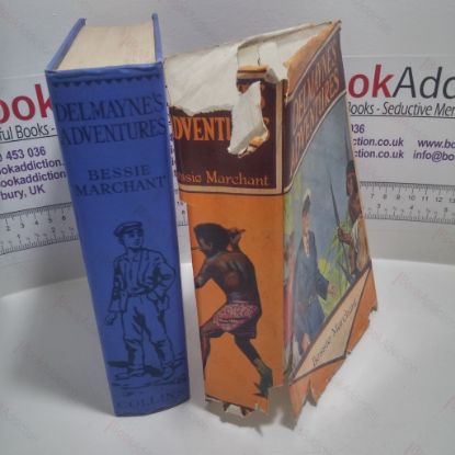 Picture of Delmayne's Adventures