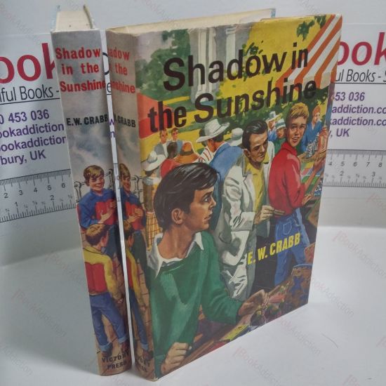 Picture of Shadow in the Sunshine (Cedar Series, No. 18)