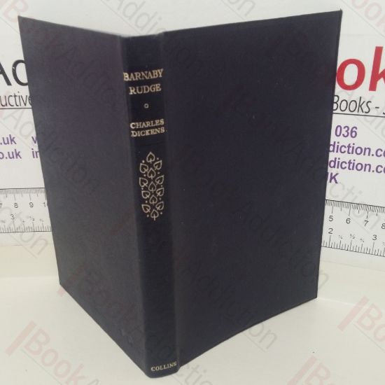 Picture of Barnaby Rudge