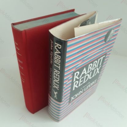 Picture of Rabbit Redux