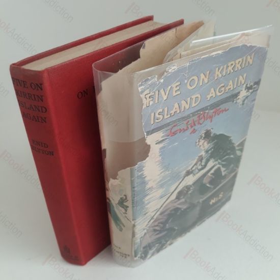 Picture of Five on Kirrin Island Again