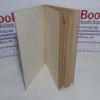 Picture of Paper Craft (Foyles Handbooks Series)