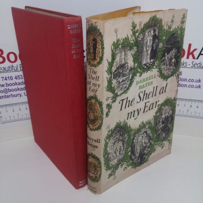 Picture of The Shell at My Ear