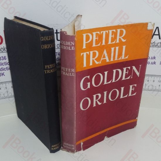 Picture of Golden Oriole