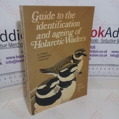 Picture of Guide to the Identification and Ageing of Holarctic Waders (British Trust for Ornithology, Guide 17)