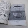 Picture of Guide to the Identification and Ageing of Holarctic Waders (British Trust for Ornithology, Guide 17)