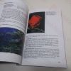 Picture of Diving and Snorkelling Guide to the Cayman Islands: Grand Cayman, Little Cayman, and Cayman Brac