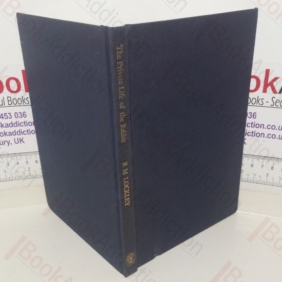 Picture of The Private Life of the Rabbit: An Account of the Life History and Social Behavior of the Wild Rabbit