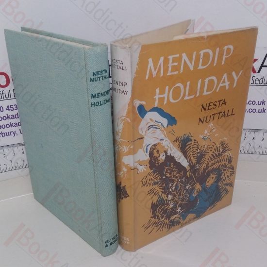 Picture of Mendip Holiday