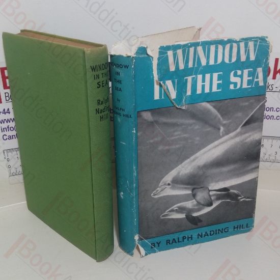 Picture of Window in the Sea