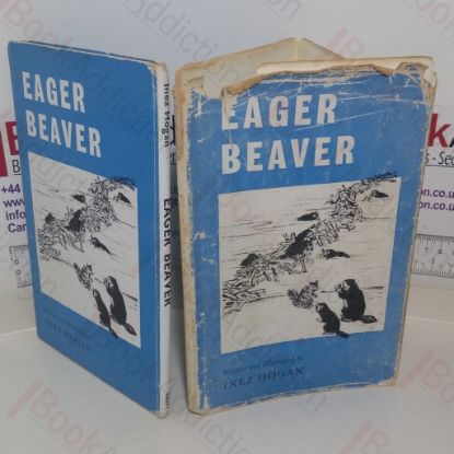 Picture of Eager Beaver