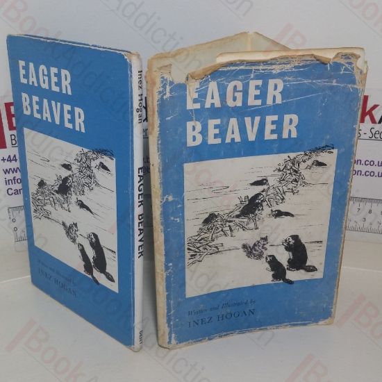 Picture of Eager Beaver