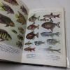 Picture of The Illustrated Dictionary of Tropical Fishes