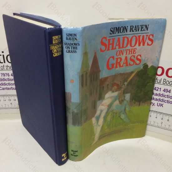 Picture of Shadows on the Grass