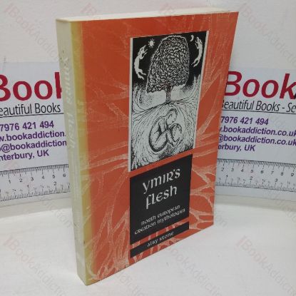 Picture of Ymir's Flesh: North European Creation Mythologies