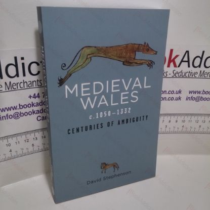 Picture of Medieval Wales c.1050-1332 : Centuries of Ambiguity (Rethinking the History of Wales Series)