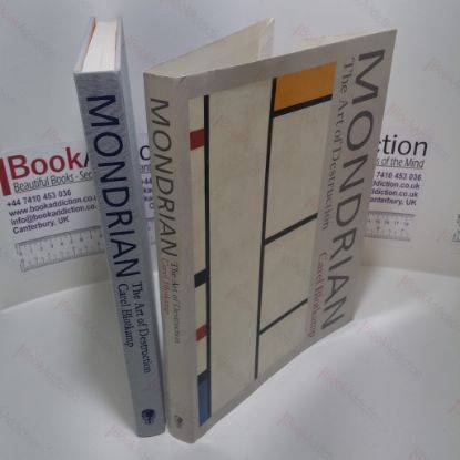Picture of Mondrian: The Art of Destruction