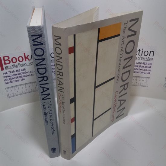 Picture of Mondrian: The Art of Destruction