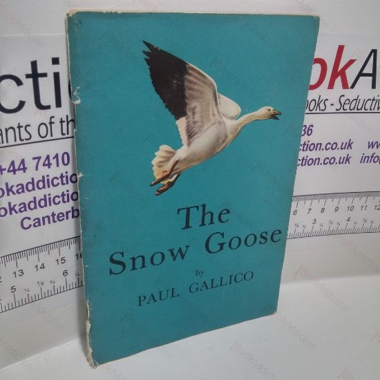 Picture of The Snow Goose