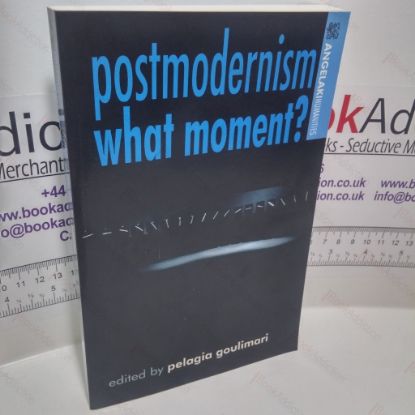 Picture of Postmodernism. What Moment? (Angelaki Humanities Series)