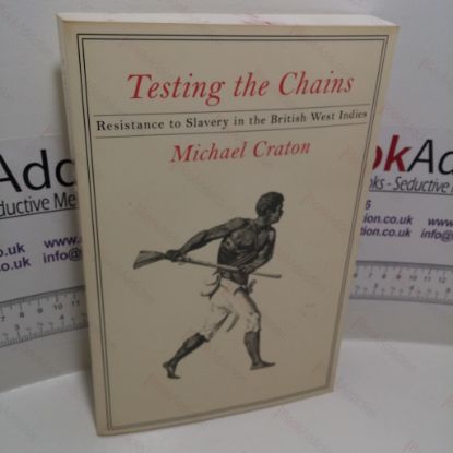 Picture of Testing the Chains: Resistance to Slavery in the British West Indies