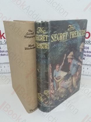 Picture of The Secret Treasure