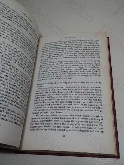 Picture of The Lost Child