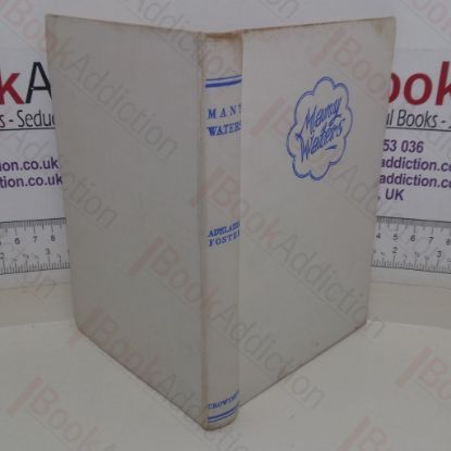 Picture of Many Waters