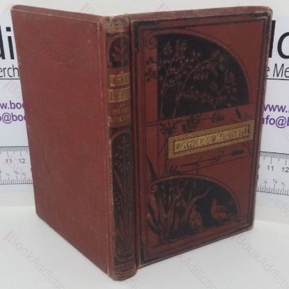 Picture of Agnes Leith;, or The Path and the Lamp