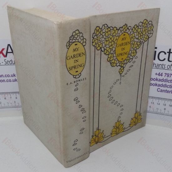 Picture of My Garden in Spring