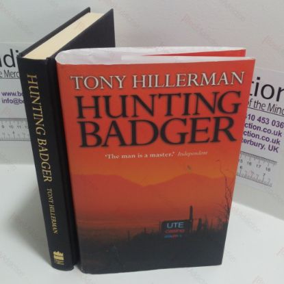 Picture of Hunting Badger