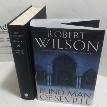 Picture of The Blind Man of Seville