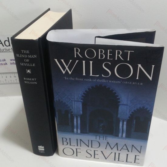 Picture of The Blind Man of Seville