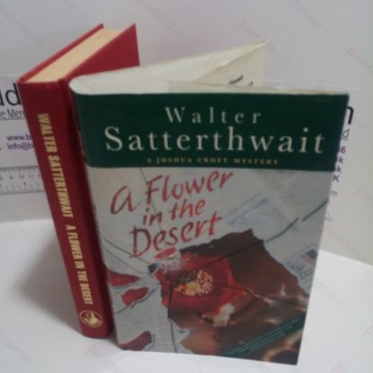 Picture of A Flower in the Desert