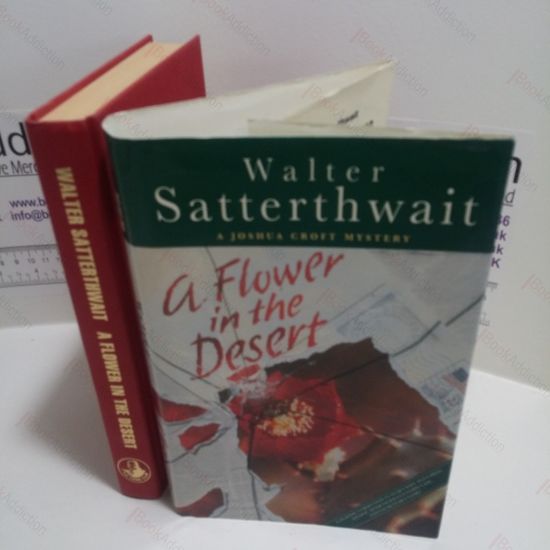 Picture of A Flower in the Desert