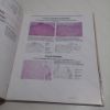 Picture of Pathology of AIDS : Textbook and Atlas of Diseases Associated With Acquired Immune Deficiency Syndrome
