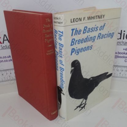 Picture of The Basis of Breeding Racing Pigeons