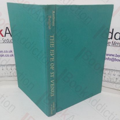 Picture of The Eve of Saint Venus