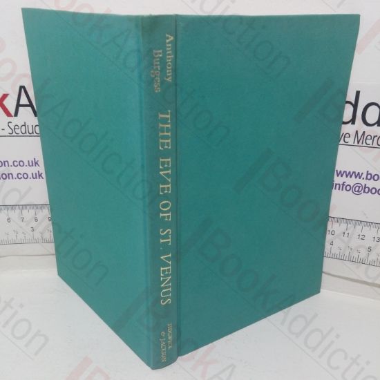 Picture of The Eve of Saint Venus