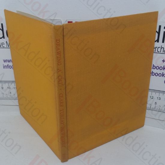 Picture of Drawing a Cat (How To Draw series)