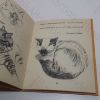 Picture of Drawing a Cat (How To Draw series)