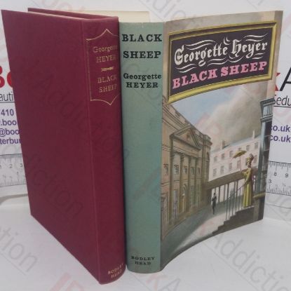 Picture of Black Sheep