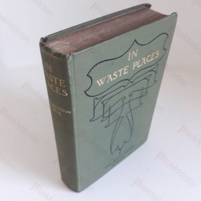 Picture of In Waste Places