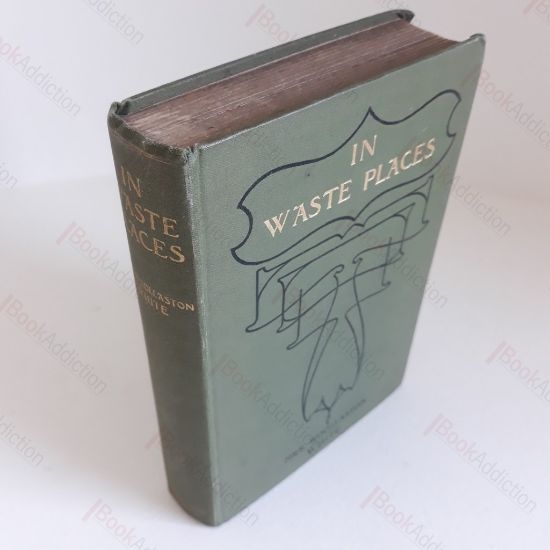 Picture of In Waste Places