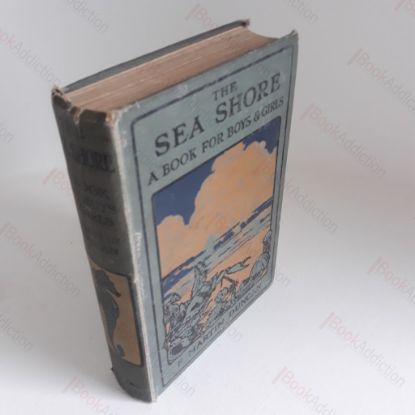 Picture of The Seashore: A Book for Boys and Girls