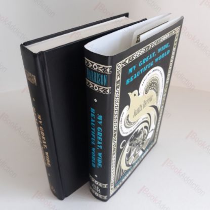 Picture of My Great, Wide, Beautiful World