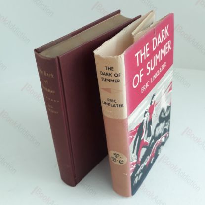 Picture of The Dark of Summer